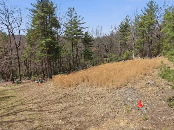 109 & 110 Pepperbush Rd, Purlear, NC 28665