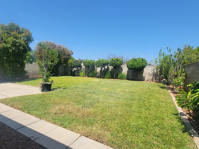 Backyard Pic 2