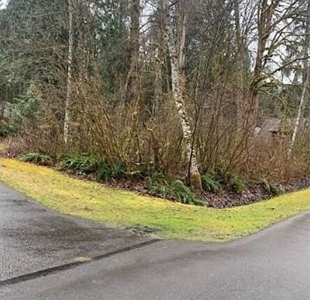 3rd image of 16007 Shuksan Rim Drive