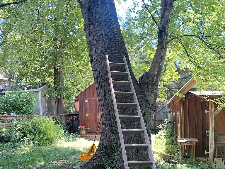 418 Oak St — Photo 14