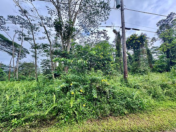 2nd image of Shell Rd Lot 992