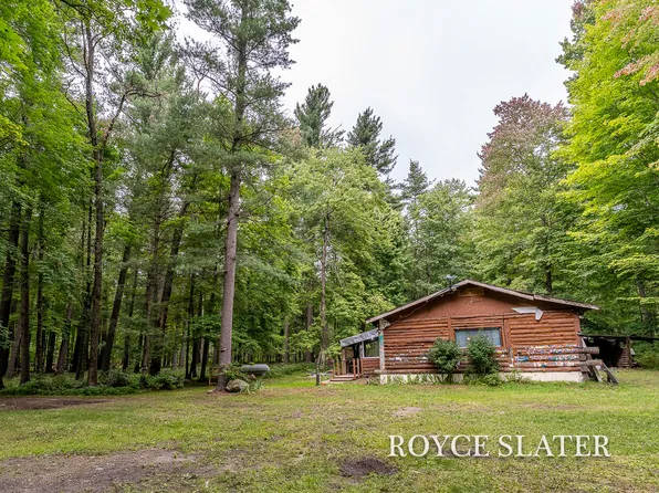 11442 Whitefish Rd, Newaygo, MI 49337