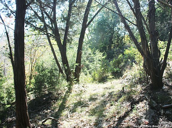 2nd image of 1156 Canyon Lake Dr