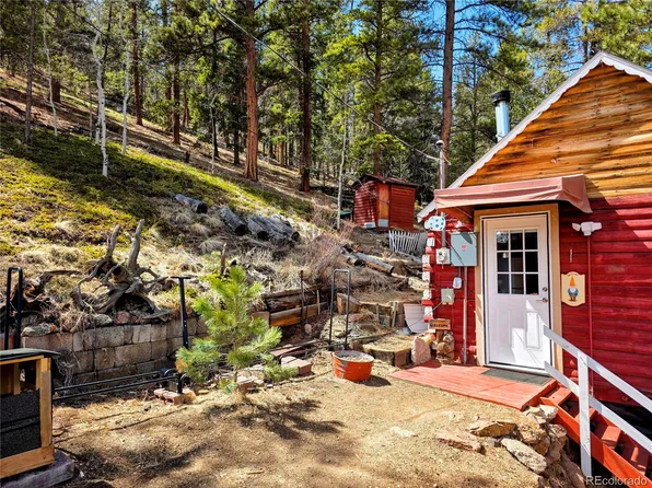 163 Ward Street, Bailey, CO 80421