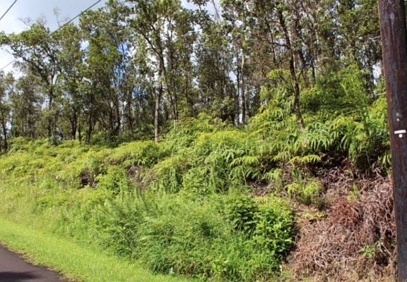 3rd image of Kaupili St Lot 66