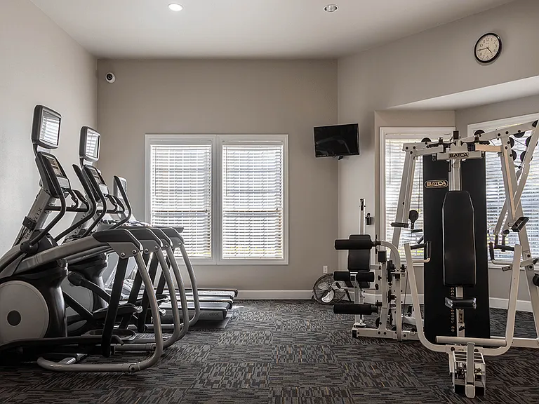 Lots of Cardio & Weight Machines
