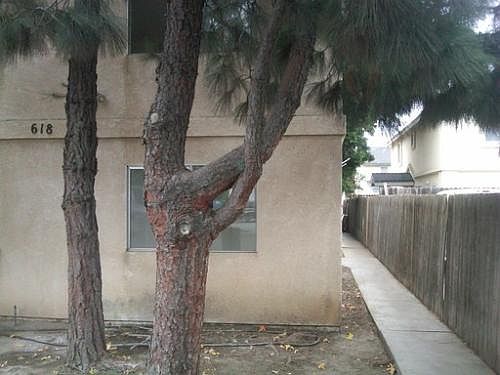 1st image of 618 S Pine St APT A