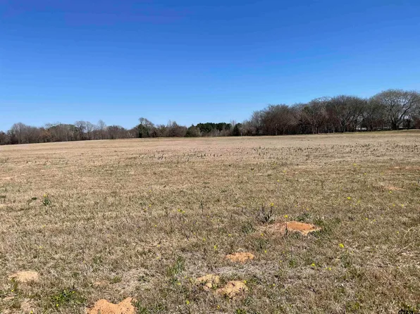 2 Tompkins Ests, Chandler, TX 75758