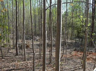 760 N Elm Ave, Landrum, SC 29356