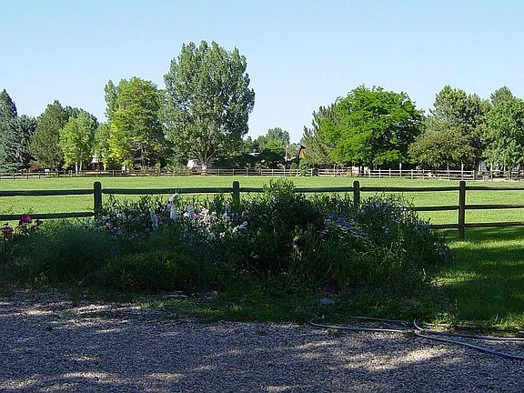 front yard
