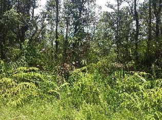 14-3491 Church Rd, Pahoa, HI 96778