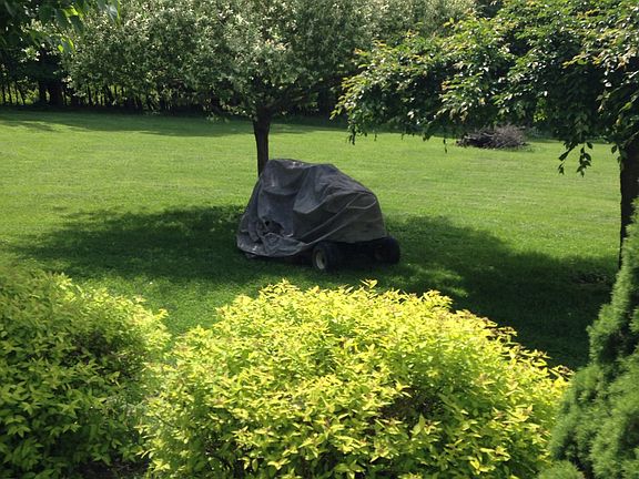 gardens 