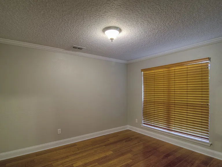 253 Carolina Jasmine Ln — Photo 3