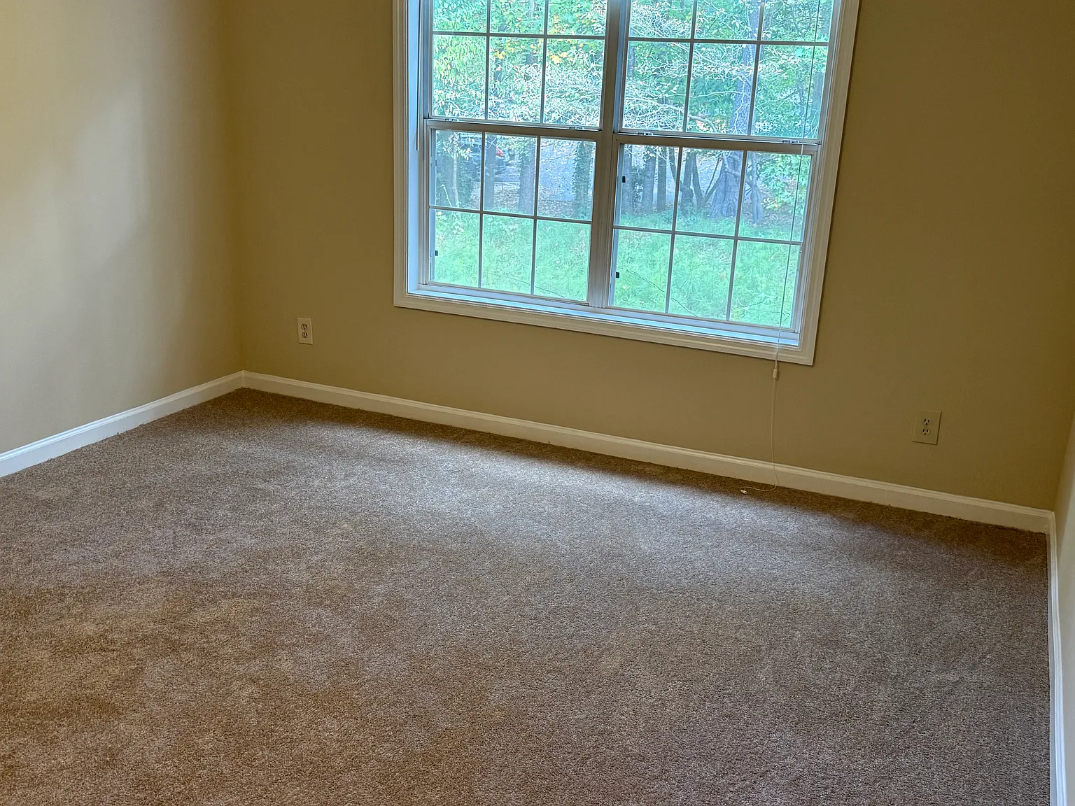 3 bed, 1587 sqft, $2,350 — Photo 4
