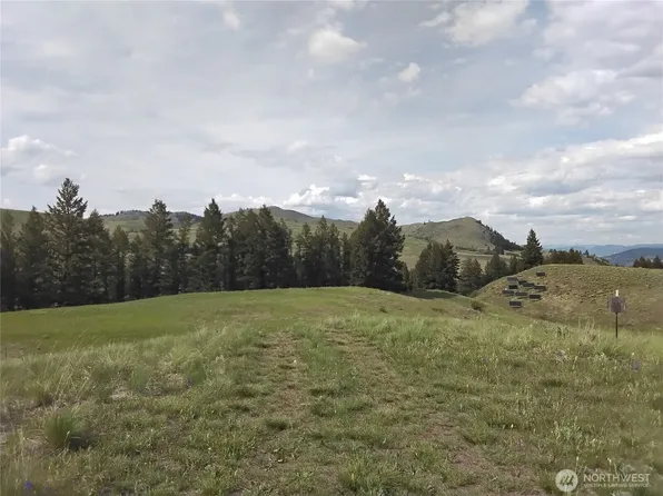 0 N Mountain View Drive, Oroville, WA 98855