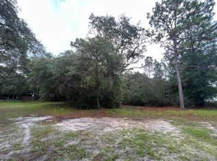 121 Hampton Cir, Georgetown, FL 32139