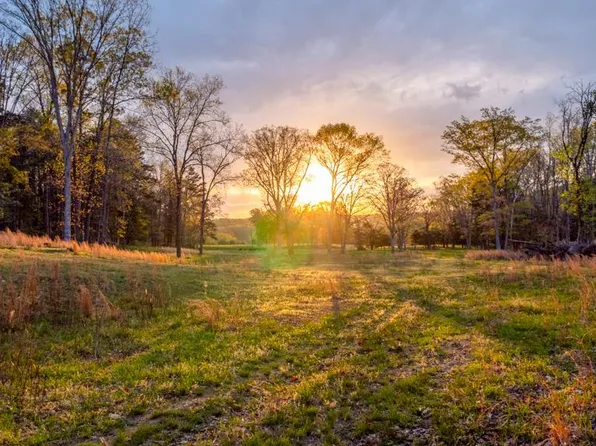 0 State Highway 49, Piedmont, MO 63957