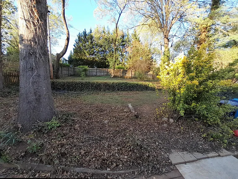 1823 Brandon Ave SW — Photo 38