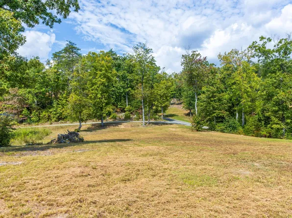 1177 Escape Dr, Evensville, TN 37332