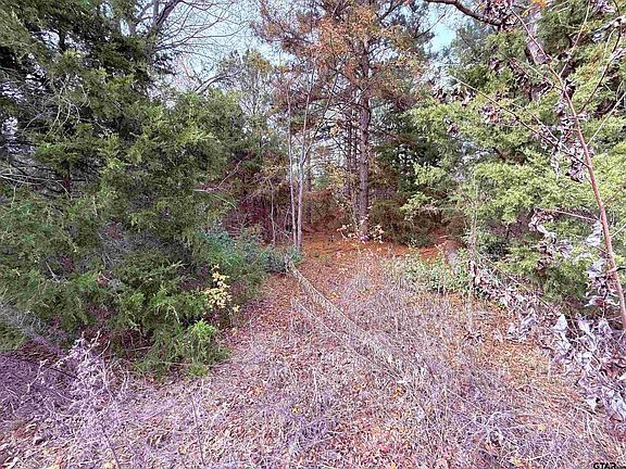 4th image of 37 Tbd Hwy