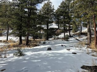 174 Spruce Trl, Manitou Springs, CO 80829