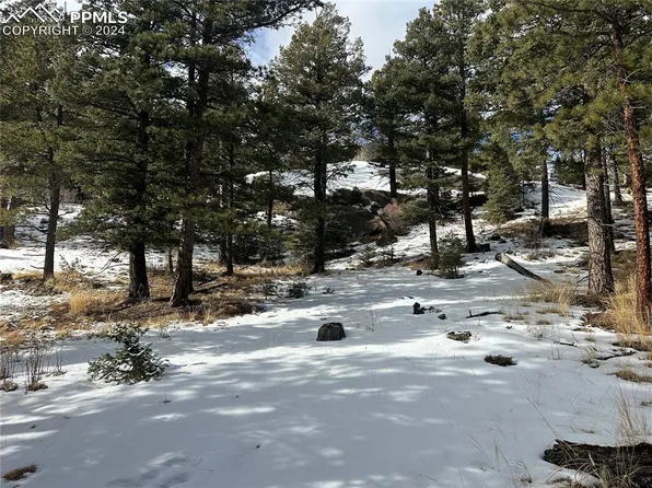 174 Spruce Trl, Manitou Springs, CO 80829