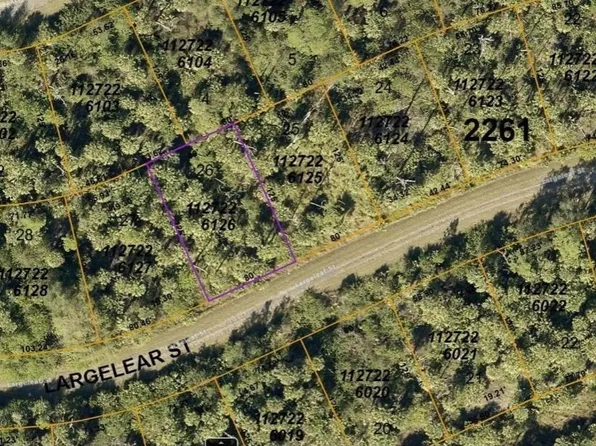 1127226126 Largeleaf St, North Pt, FL 34288