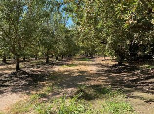 28136 Lemon Ave, Escalon, CA 95320