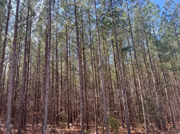Williamson Rd, Alton, VA 24520