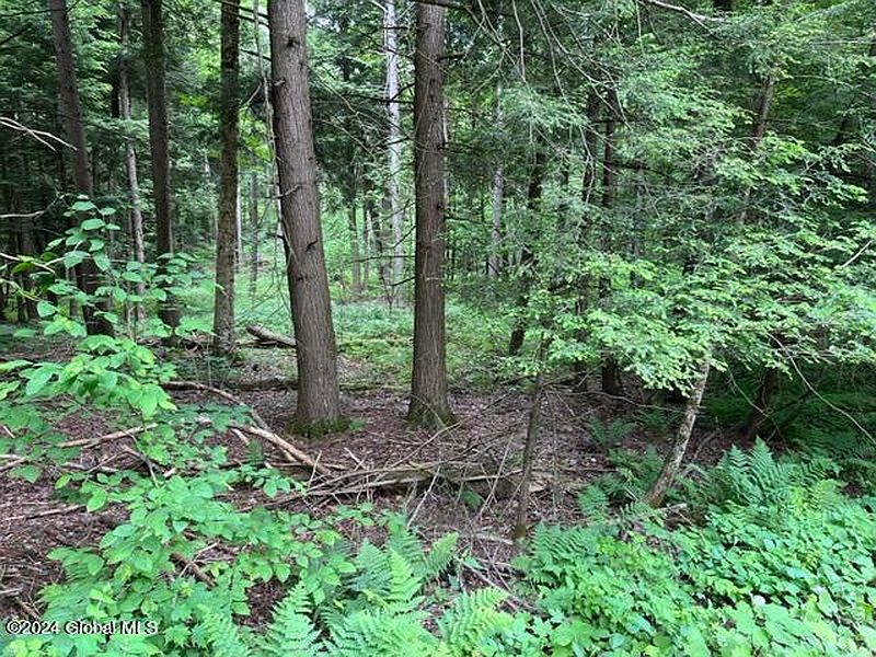 4th image of L3 Davis Road