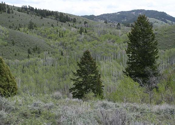 2nd image of Road 216