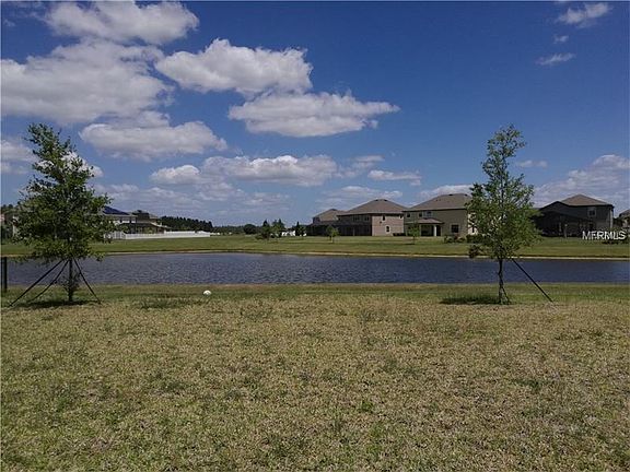 5th image of 19229 Early Violet Dr