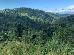 907 Carretera Dm #2.2, Canovanas, PR 00729