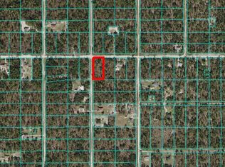 Tbd Sw 125 Th Ter, Ocala, FL 34481