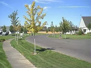 6 Tulip Ct photo 1