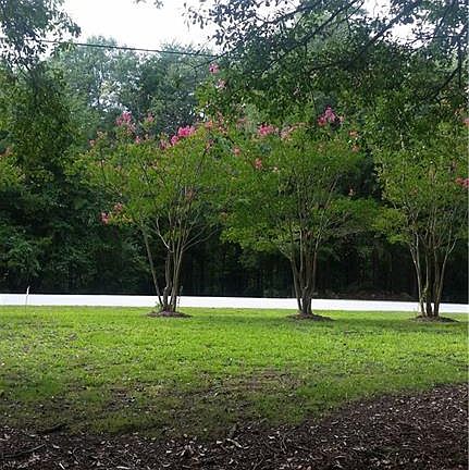 4th image of 527 Mahaffey Rd