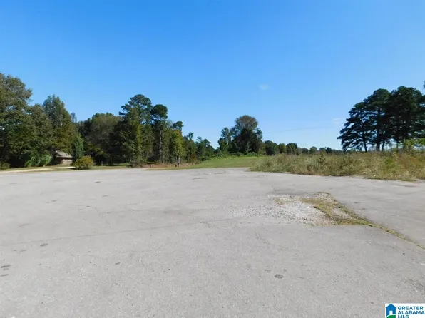 0 State Highway 231 #1, Steele, AL 35987