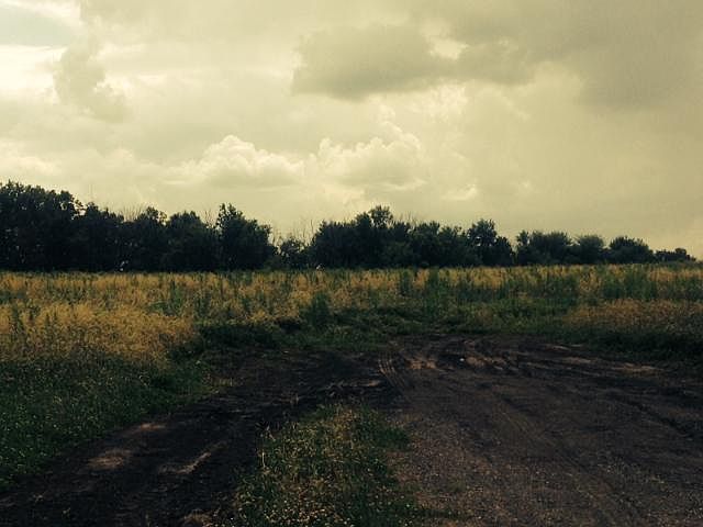1st image of LOT 571 Thirty German Cottonwood South 1st Ct