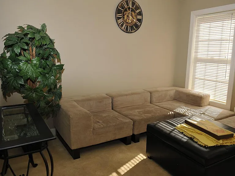 Lower Level Family Room