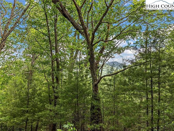 3rd image of Lot 60 & 61 Farmview Drive