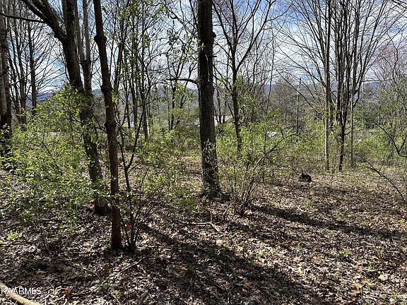 4th image of 7 Shannon Rd