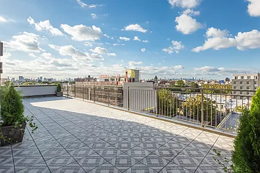 Rented by Bold New York