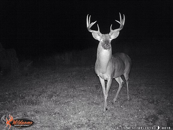 4th image of 10301 Drop Tine Ct