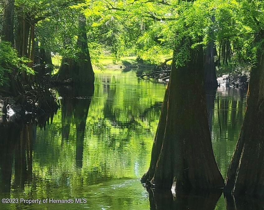 0 Tarzan St, Dade City, FL 33523 MLS 2232309 Zillow