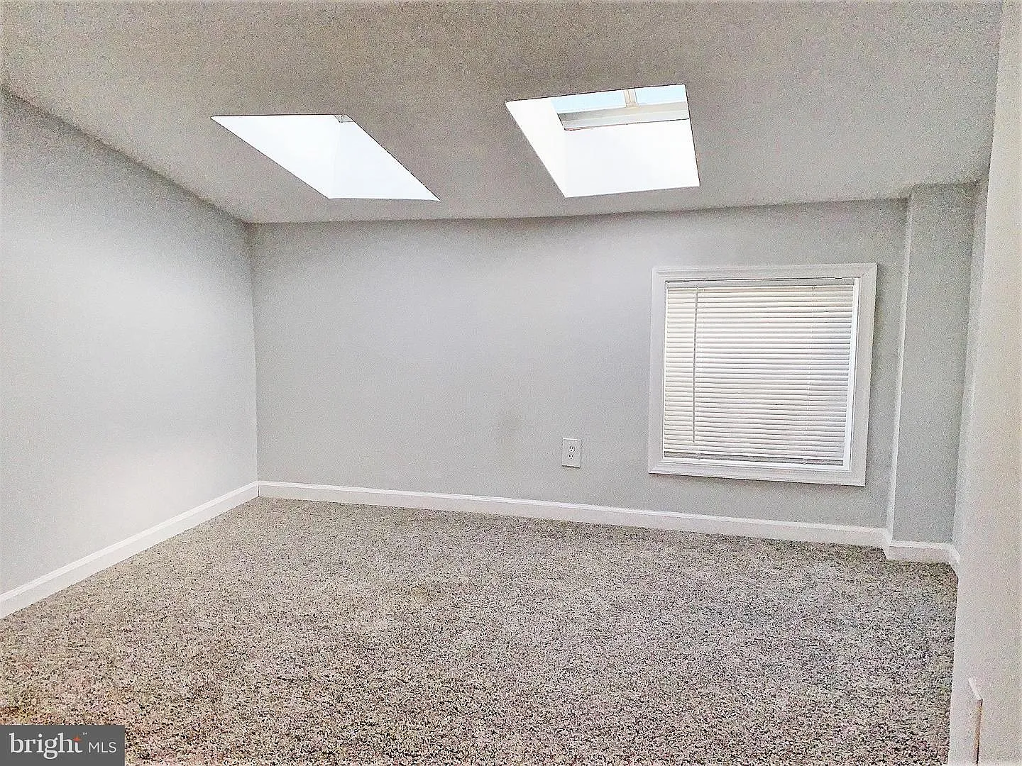 1 bed, $850 — Photo 2