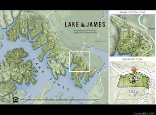 2004 Fergusons Folly Dr #101, Nebo, NC 28761