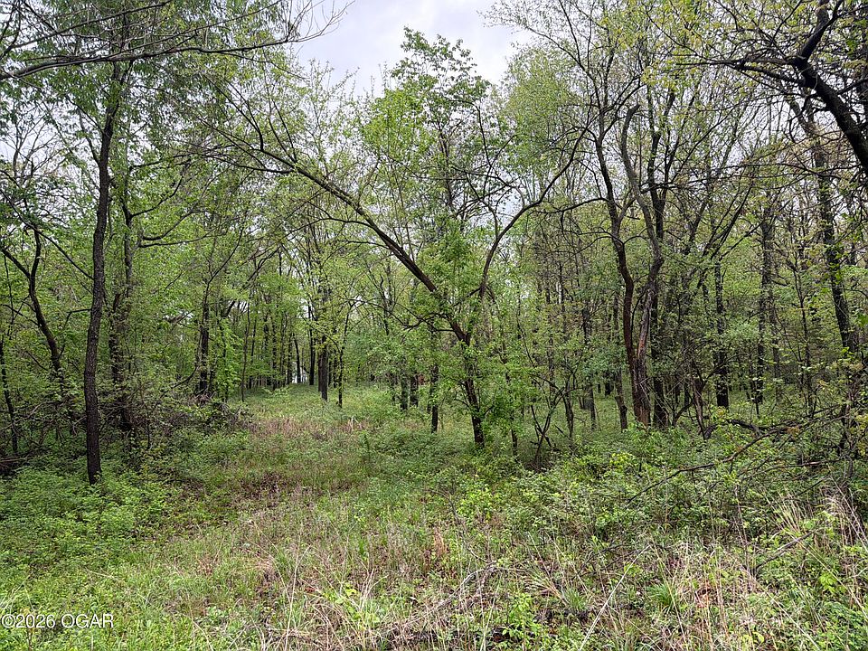 1st image of Ivy Rd