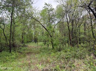 Ivy Rd, Carthage, MO 64836