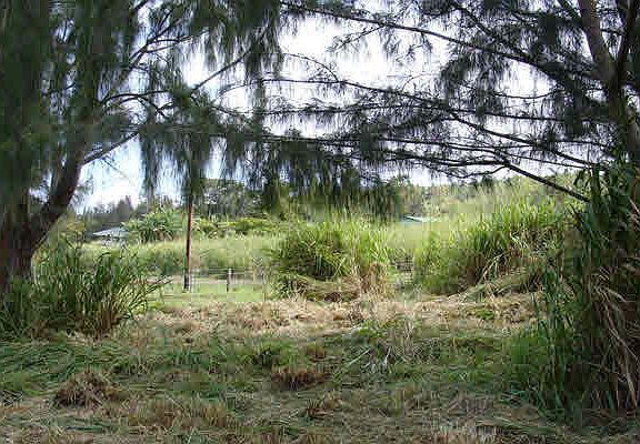 3rd image of Hale Hookipa Pl Lot 2