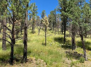 210 Deer Creek Rd, Ruidoso, NM 88345